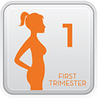 First Trimester