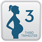 Third Trimester