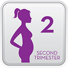 Second Trimester